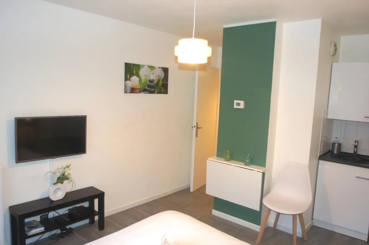 Le Saint Eloi - Studio Avec Parking Toulouse Centre Apartment